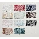 Colorcard-Delice-Lace.webp