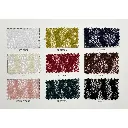 Colocard-Coquette-Lace.webp